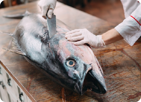 施設利用者が楽しんでいる様子